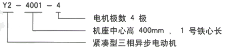 YR系列(H355-1000)高压YRKK3554-4三相异步电机西安西玛电机型号说明